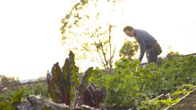 Thank You From Dr. Cowan's Garden