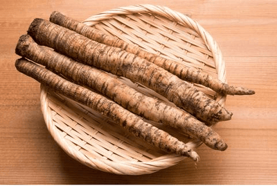 Burdock Root: A Living Picture of Transformation