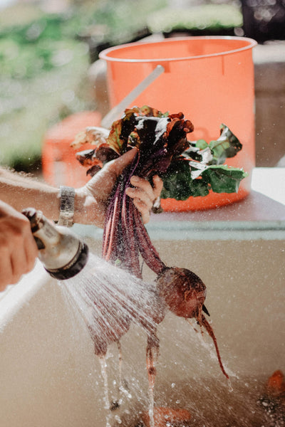 A Novel Way to Look at Beets